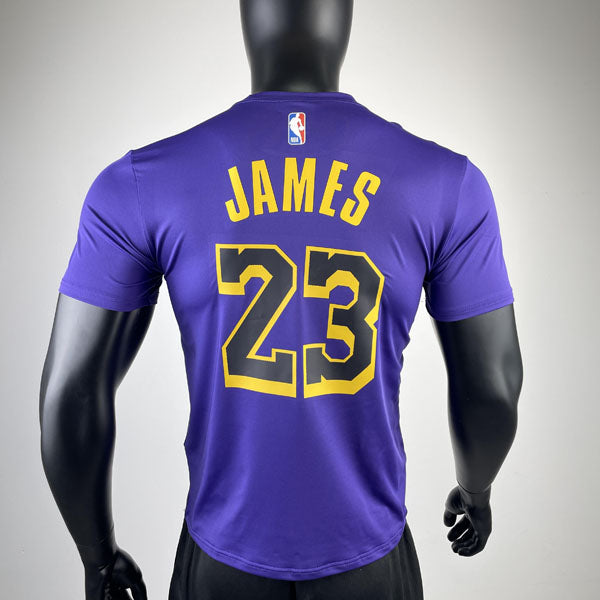 Camiseta NBA Los Angeles Lakers LeBron James 23 DRI-FIT Roxa